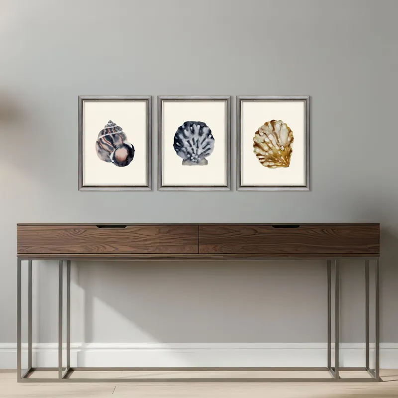 Coastal Collection I S/3 Framed Art
