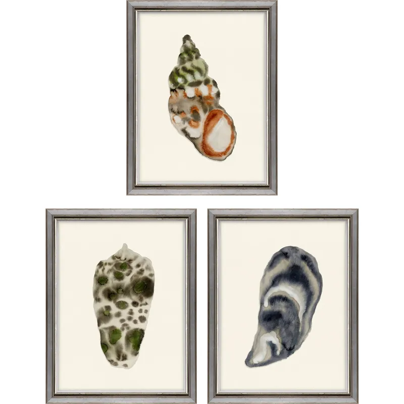 Coastal Collection II S/3 Framed Art