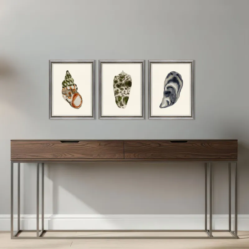 Coastal Collection II S/3 Framed Art