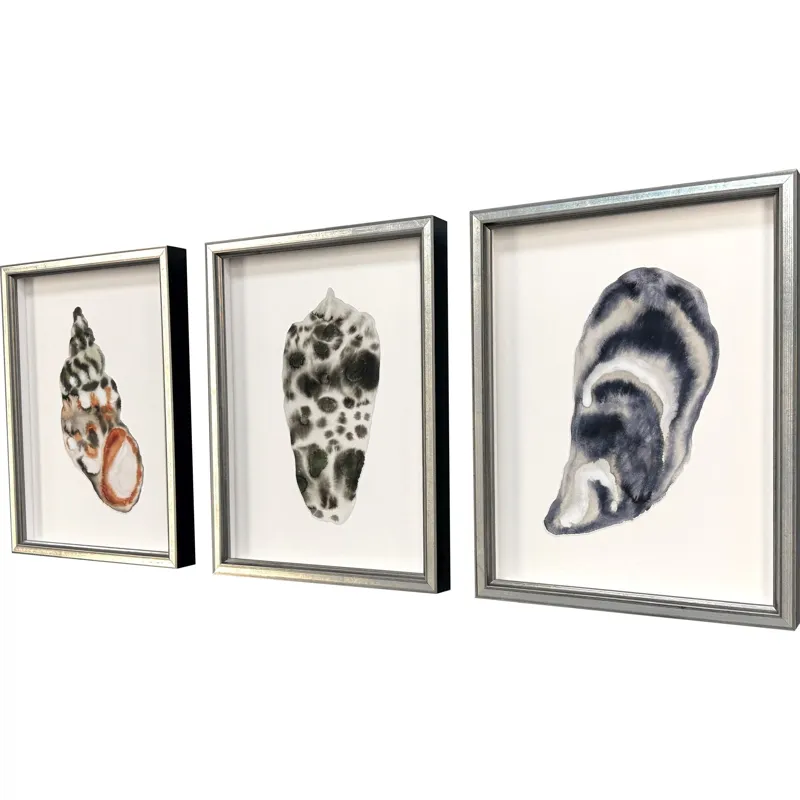 Coastal Collection II S/3 Framed Art