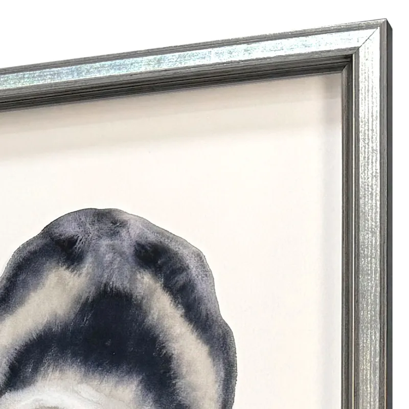 Coastal Collection II S/3 Framed Art