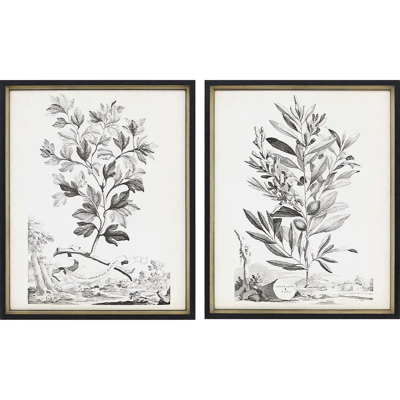 Botanicals III S/2 Framed Art