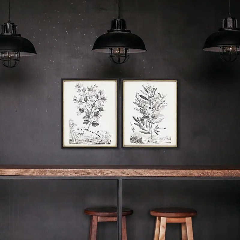 Botanicals III S/2 Framed Art
