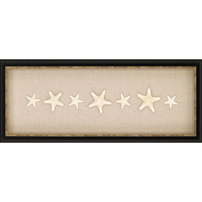 Knobby Starfish Framed Art