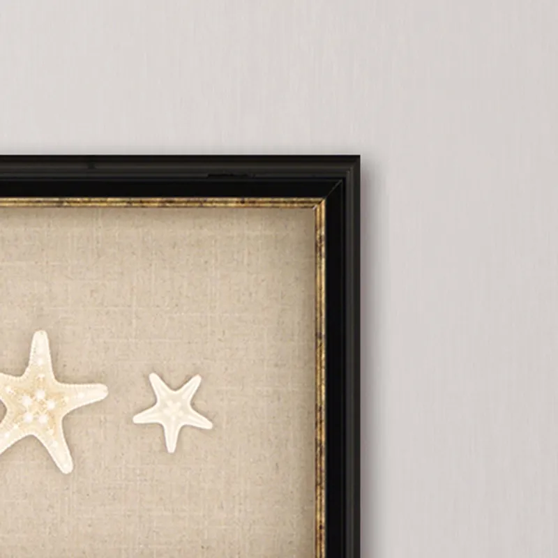 Knobby Starfish Framed Art