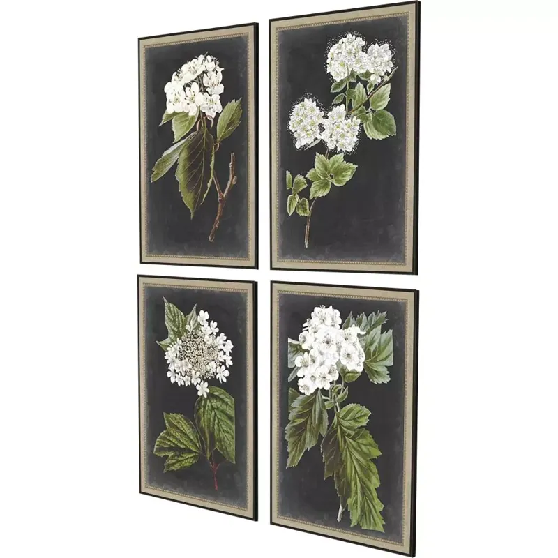Dramatic White Flower S/4 Framed Art