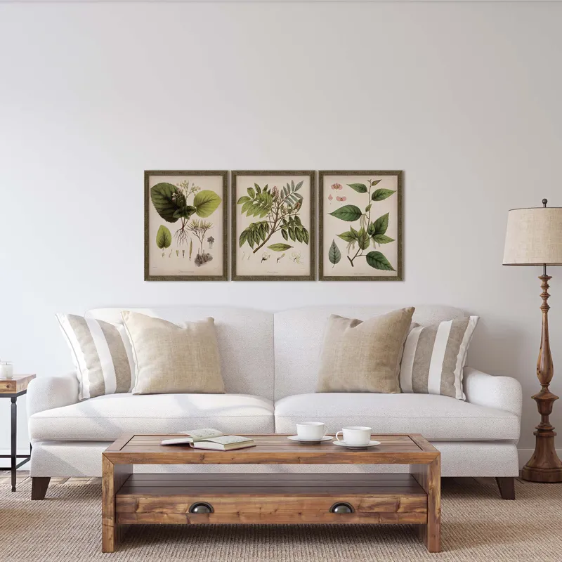 Plants I S/3 Framed Art