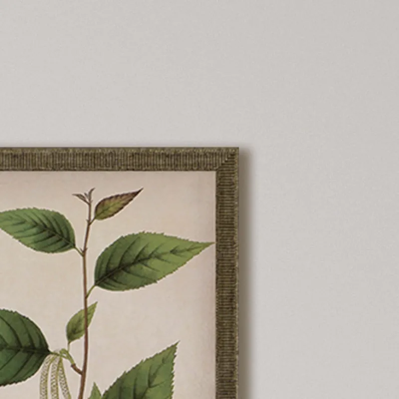 Plants I S/3 Framed Art