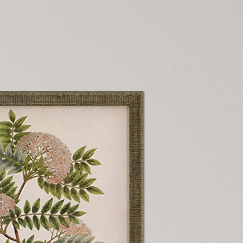 Plants II S/3 Framed Art