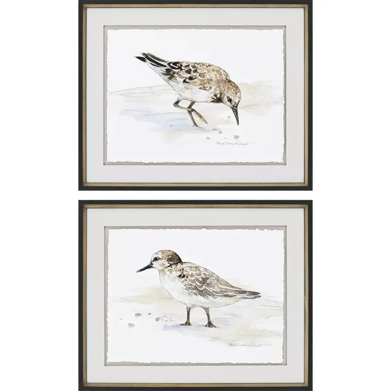 Sandpiper S/2