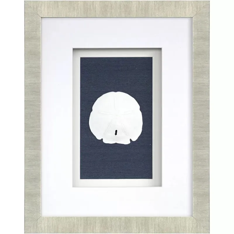 Sand Dollars S/4