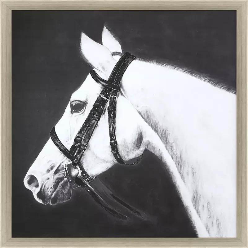 My Horse Framed Art