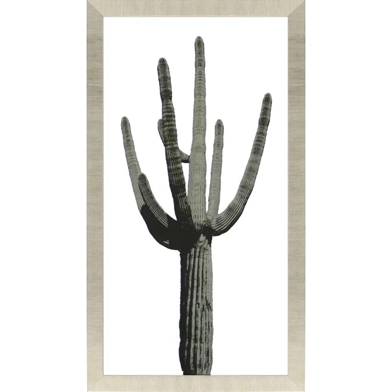Saguaro I Framed Art