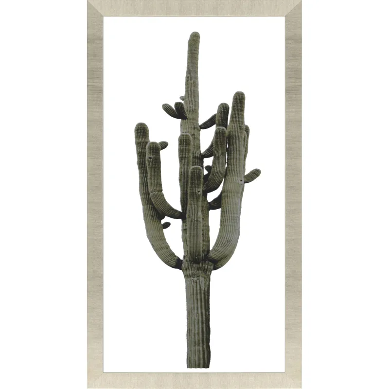 Saguaro II Framed Art