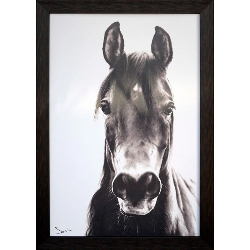 Horse Portrait Framed Art