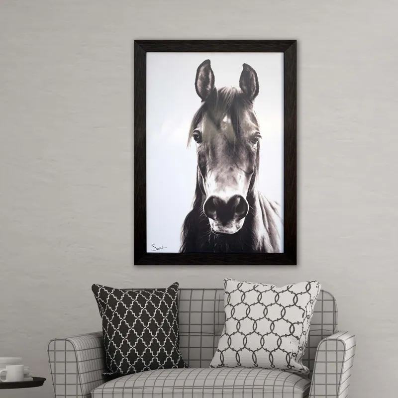 Horse Portrait Framed Art