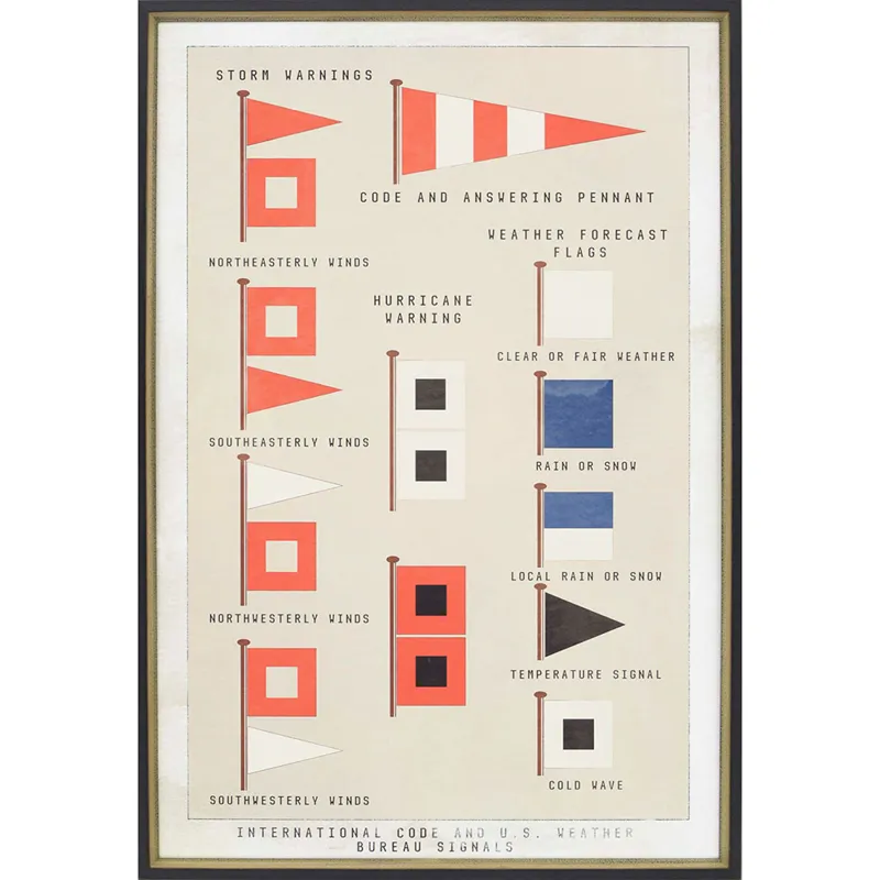 Storm Flags Framed Art