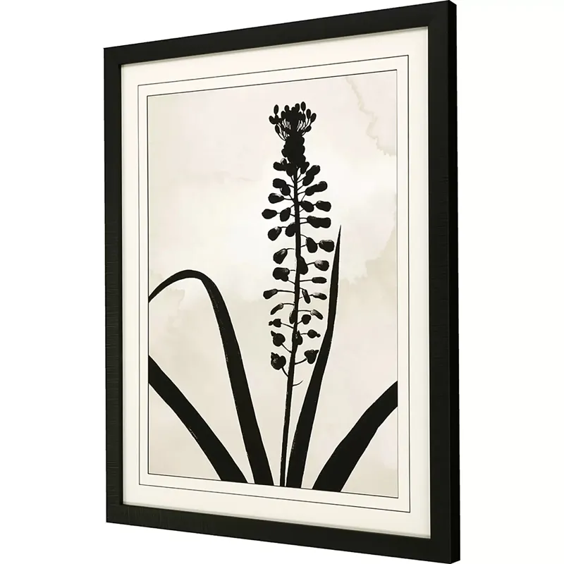 Muscari