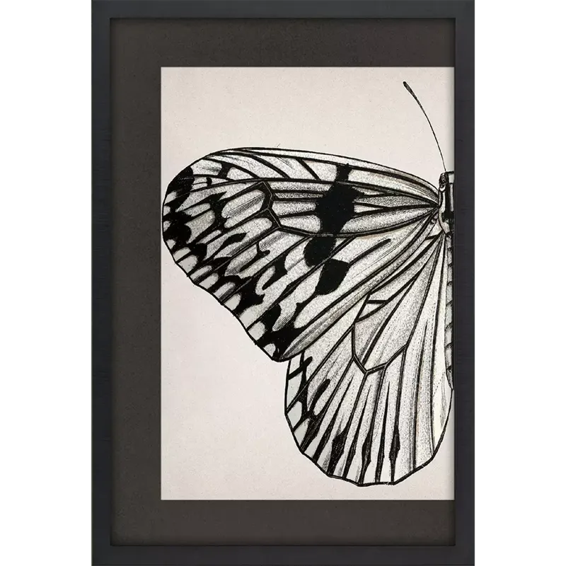 Grand Butterfly I Framed Art