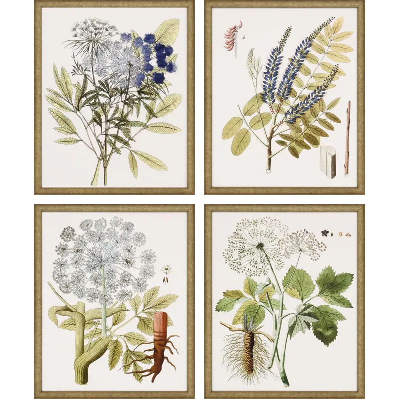 Lacy Leaves S/4 Framed Art