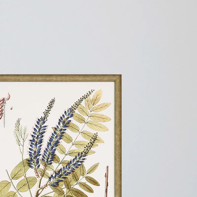 Lacy Leaves S/4 Framed Art