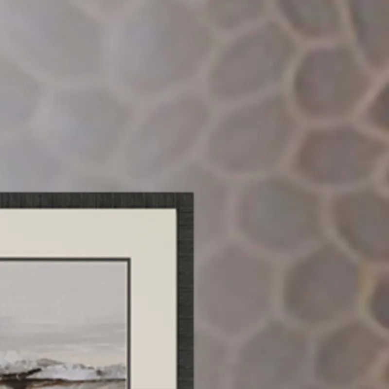 Winter Sun S/3 Framed Art