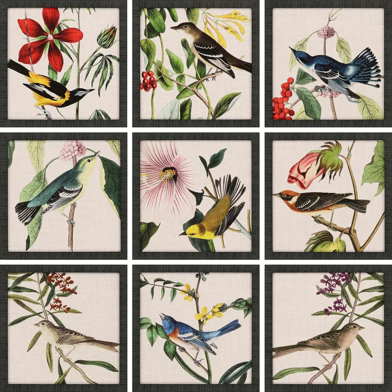 Avian S/9 Framed Art