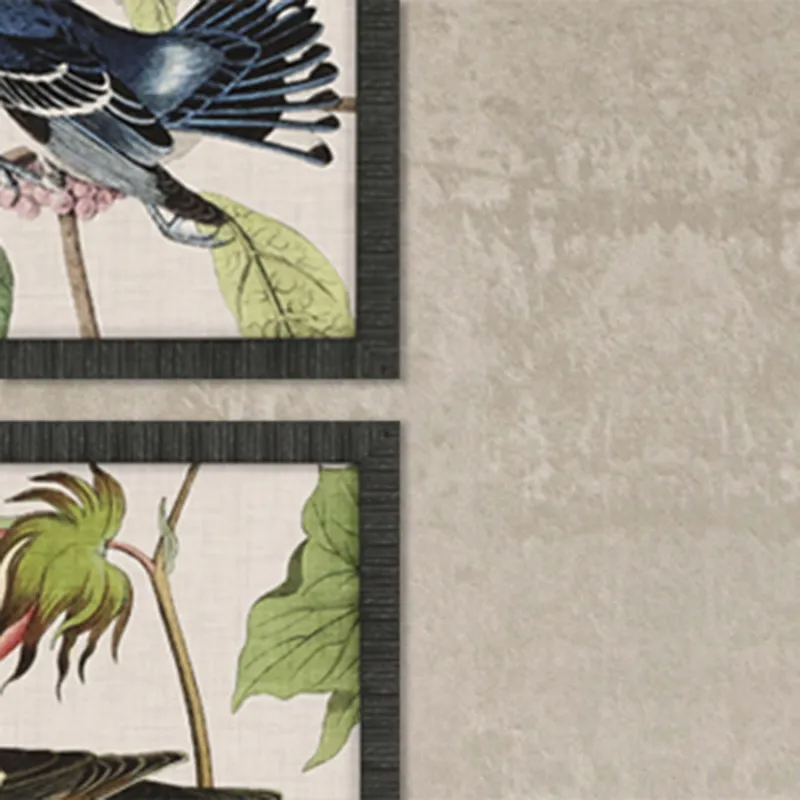 Avian S/9 Framed Art