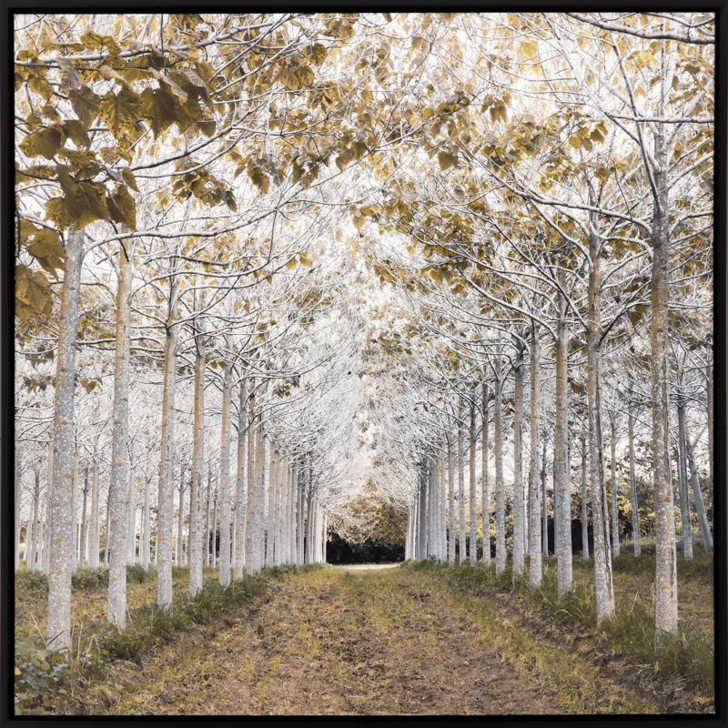 White Gold Canvas