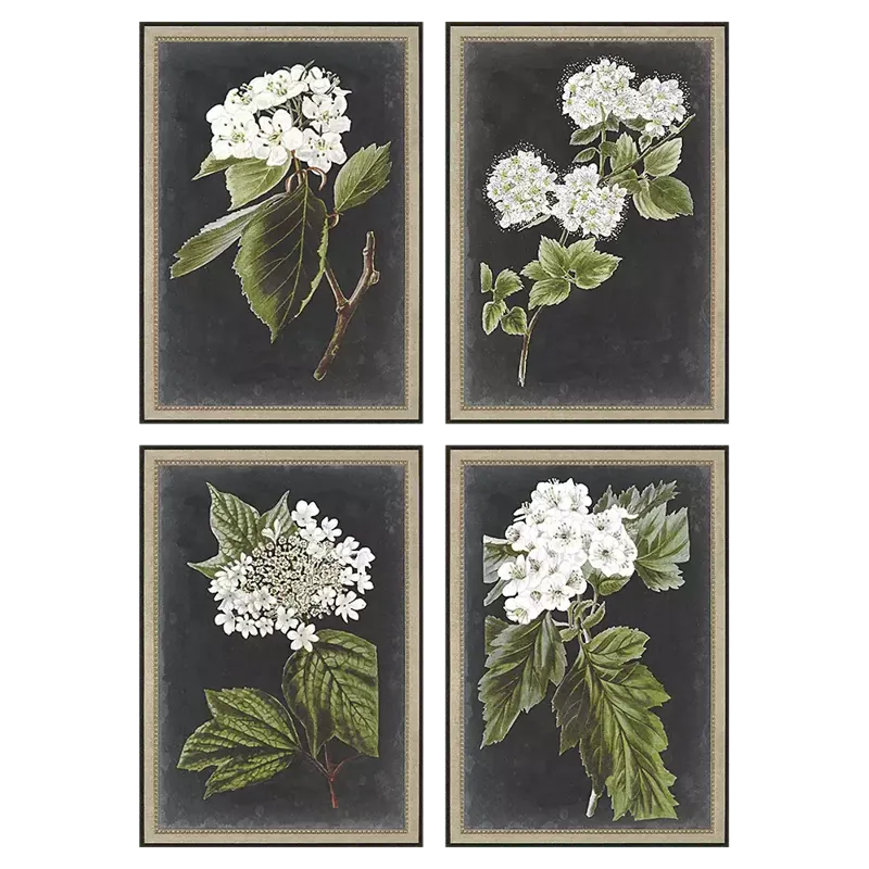Dramatic White Flower S/4 Framed Art
