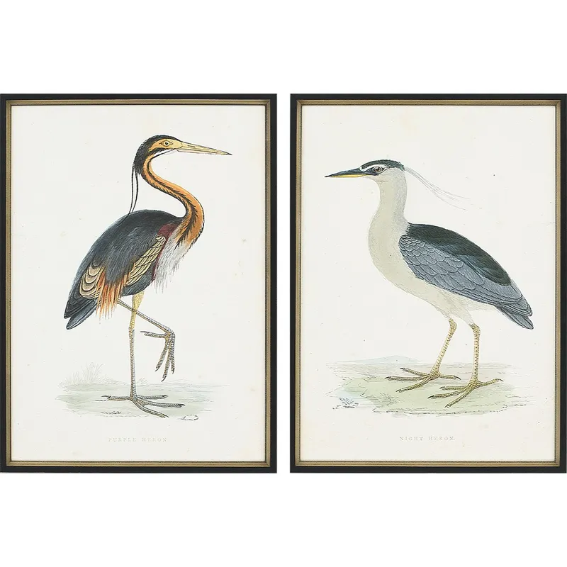 Herons S/2