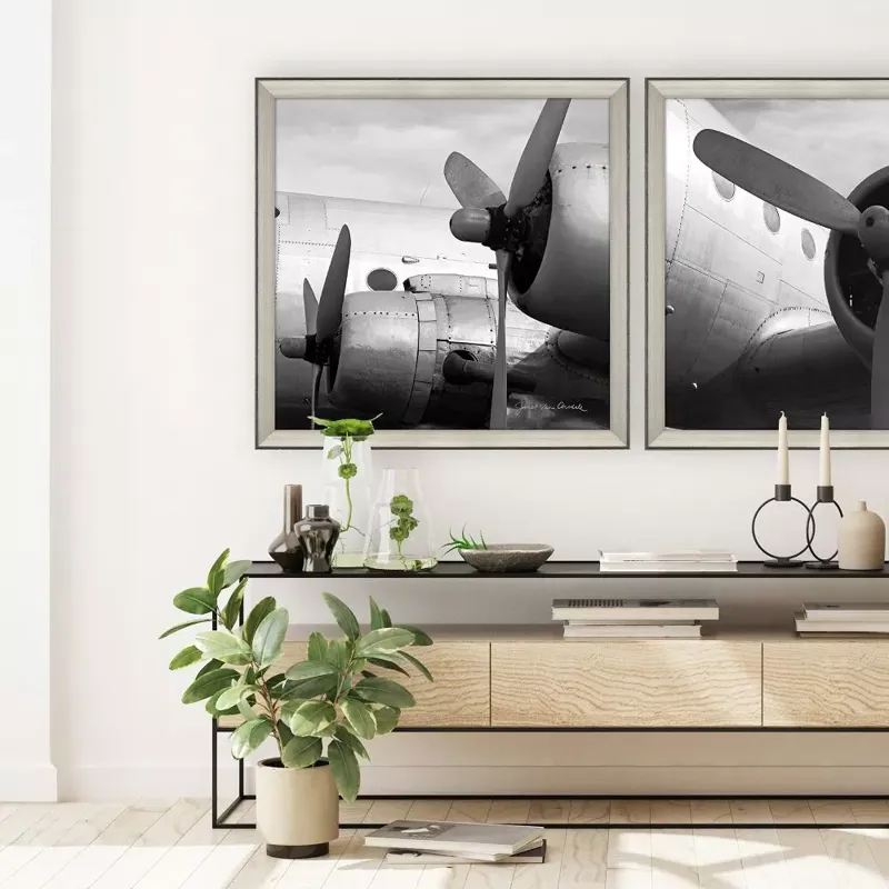 Vintage Flight I Framed Art
