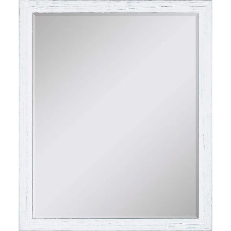#463 22 x 28 Beveled Mirrors