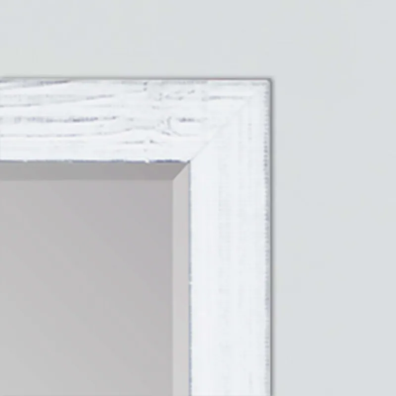 #463 30 x 40 Beveled Mirrors