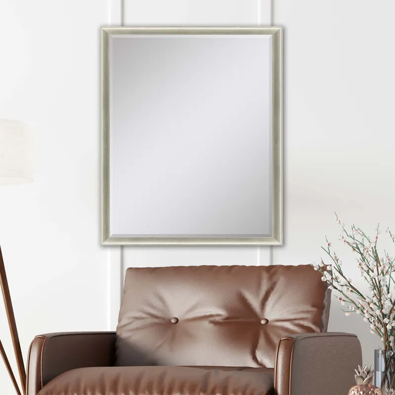 #543 22 x 28 Beveled Mirrors