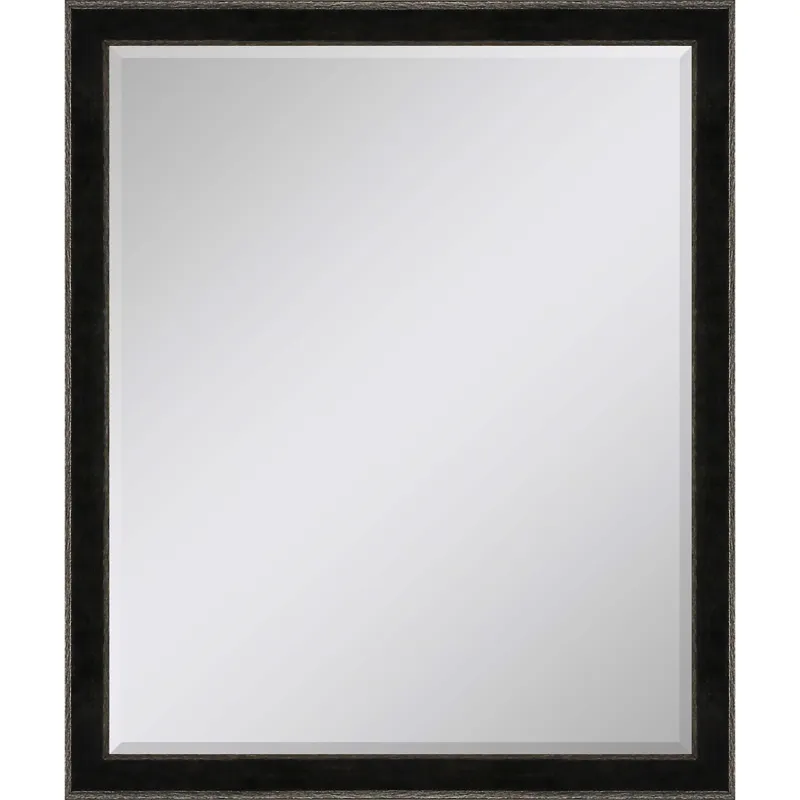 #535 22 x 28 Beveled Mirrors