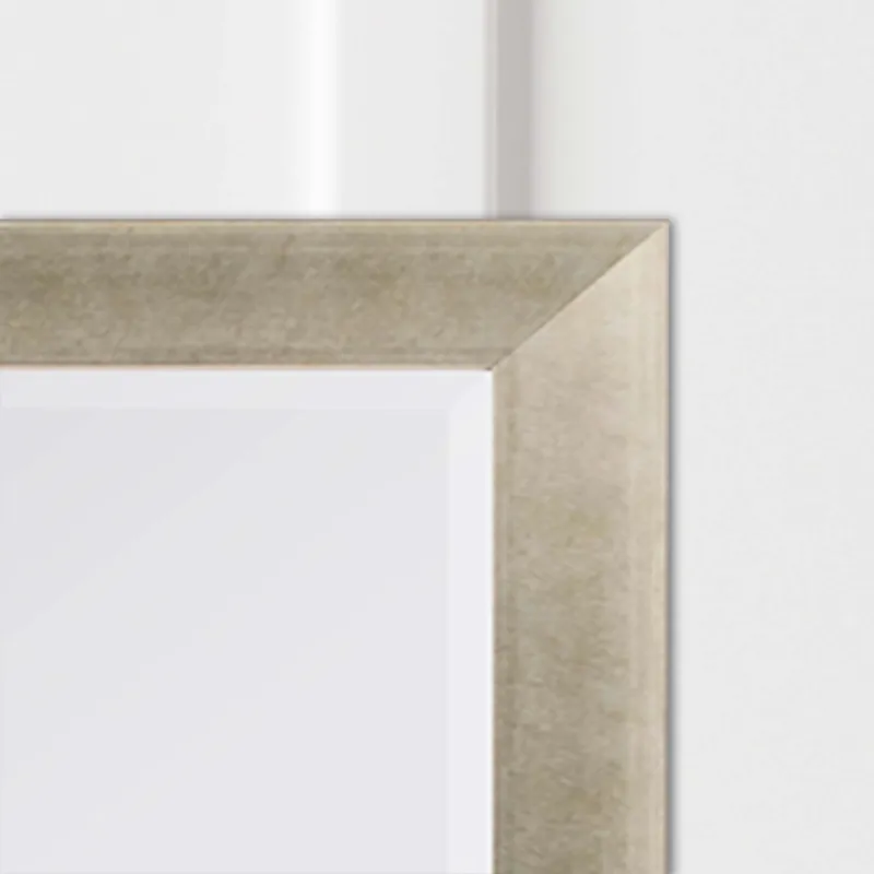 #790 22 x 28 Beveled Mirrors