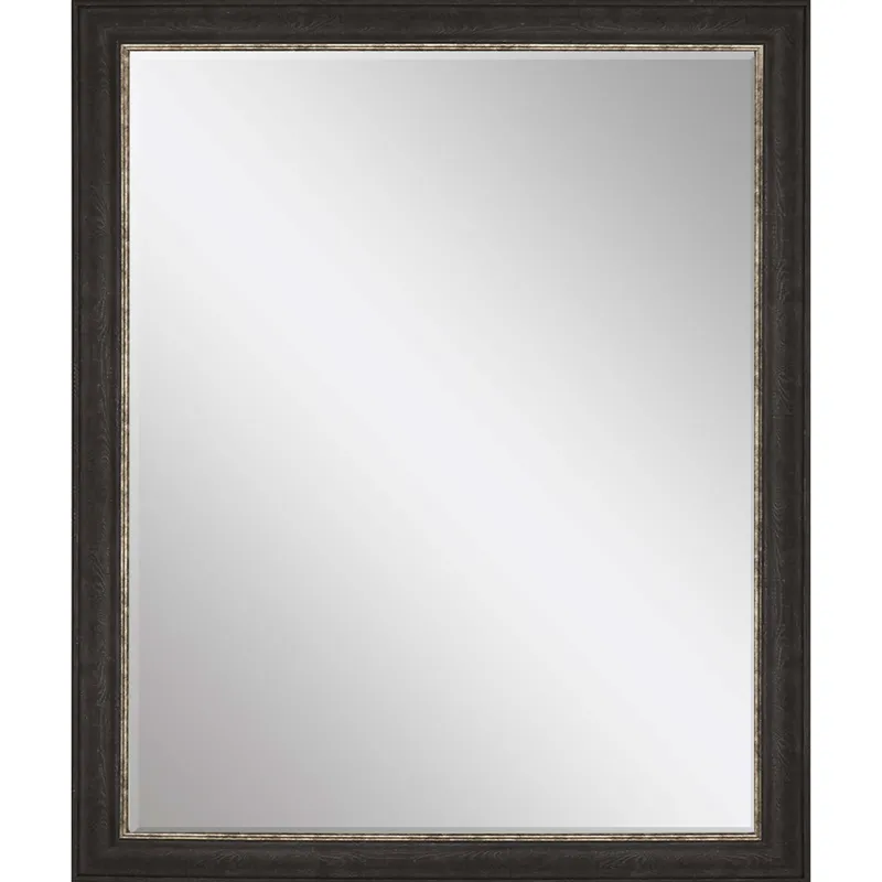 #843 22 x 28 Beveled Mirrors