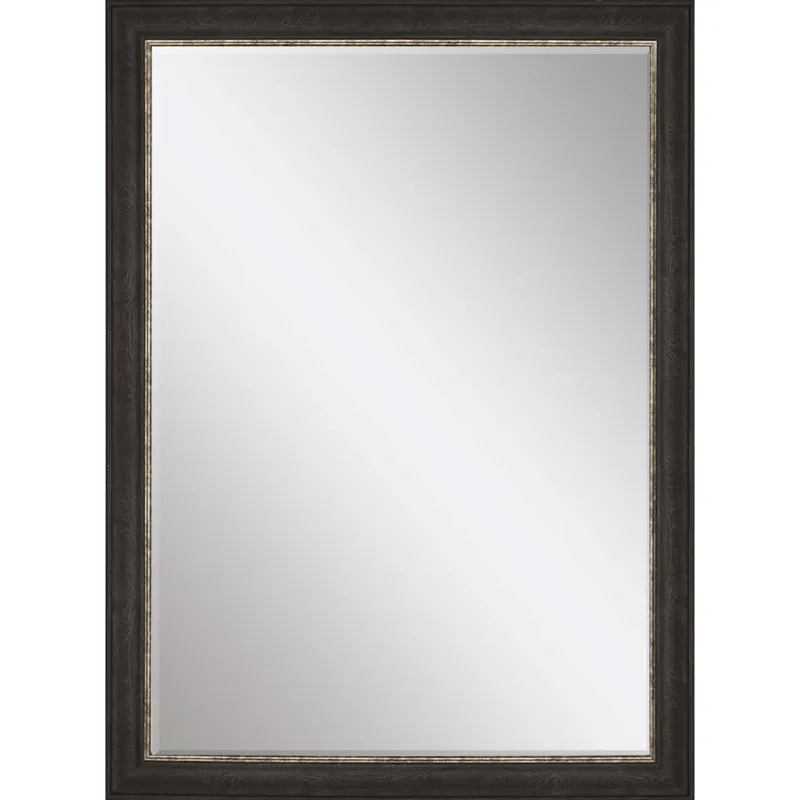 #843 24 x 36 Beveled Mirrors