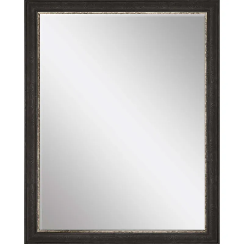 #843 30 x 40 Beveled Mirrors