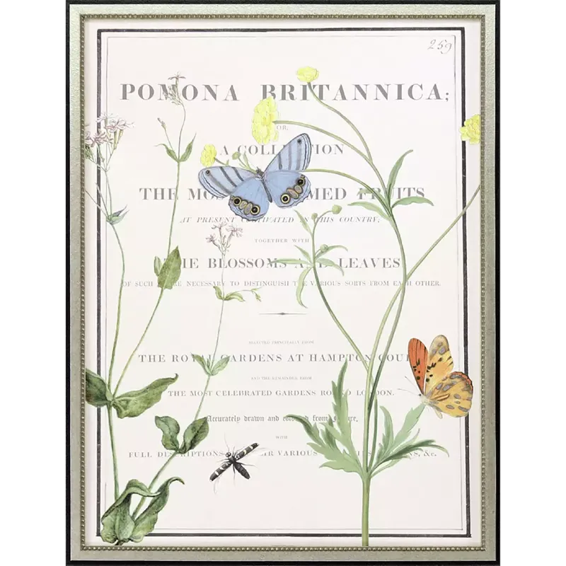 Ephemeral Bloom Framed Art