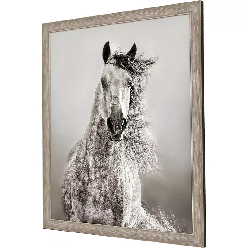 Caballo De Andaluz