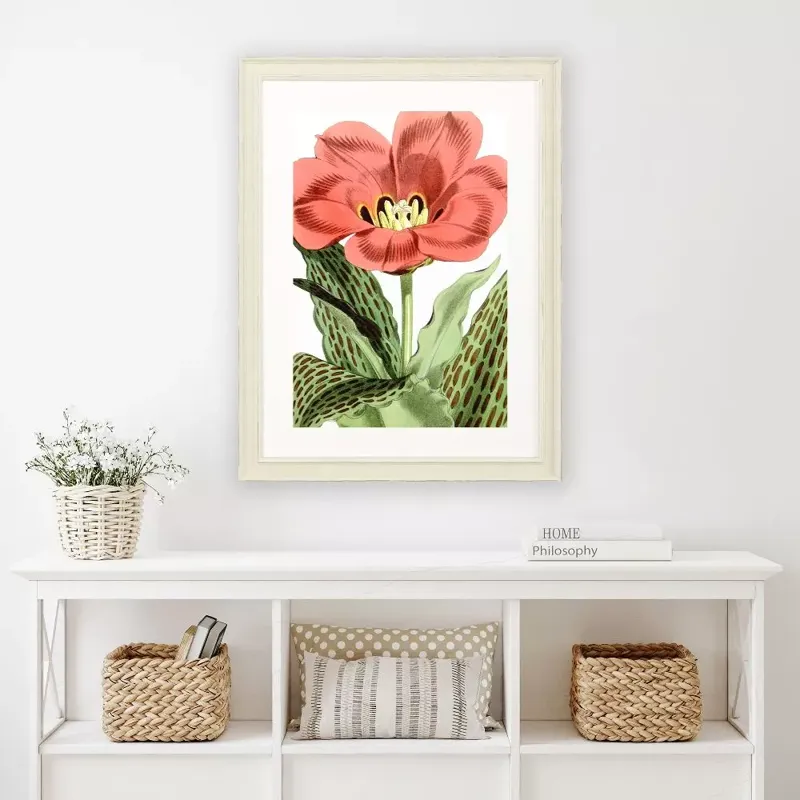 Tulipa Greigii Framed Art