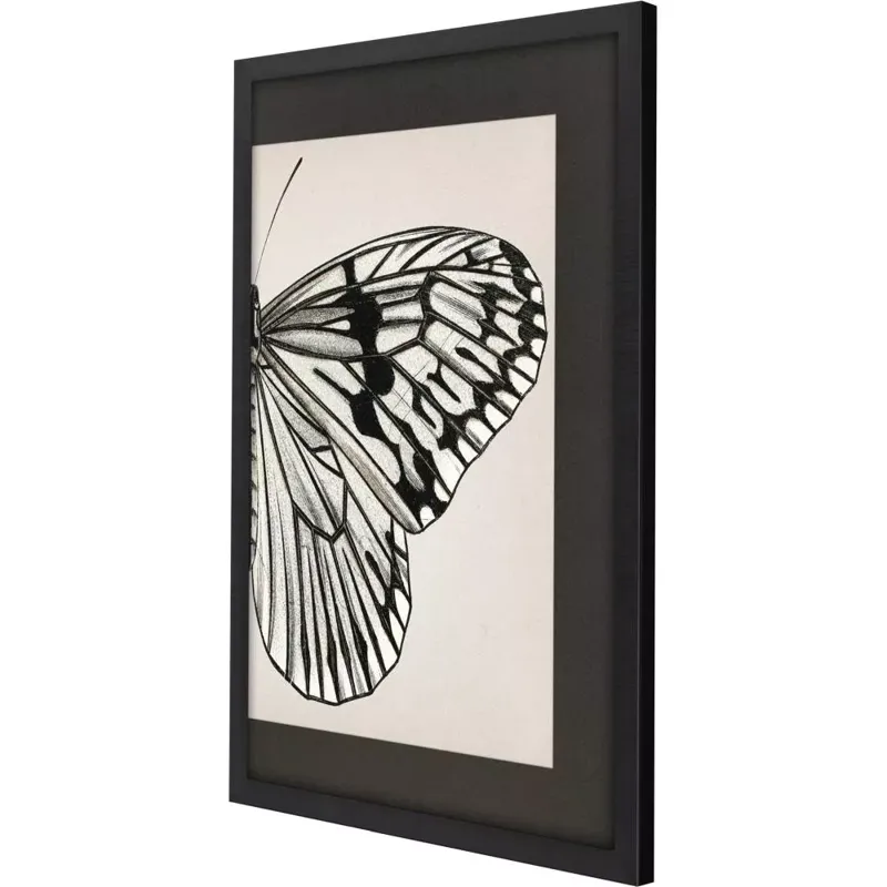 Grand Butterfly II Framed Art