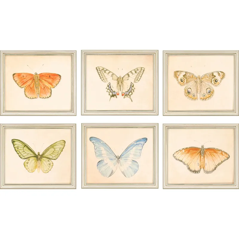 Butterflies Pk/6 Gicle