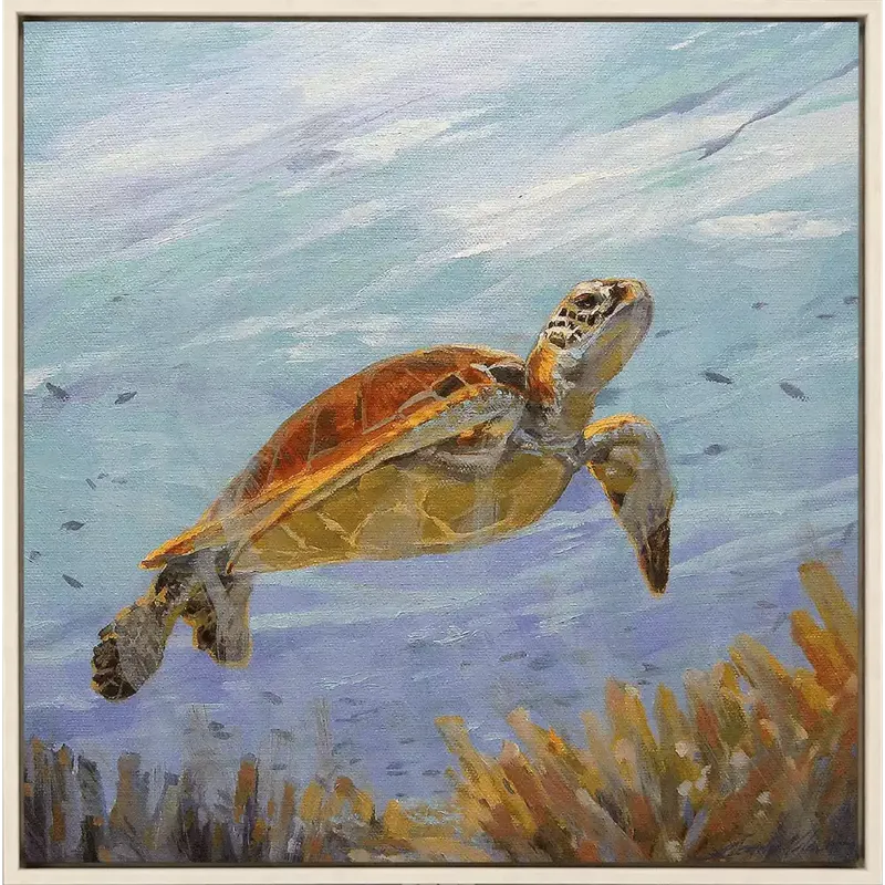 Seeking the Sun Canvas
