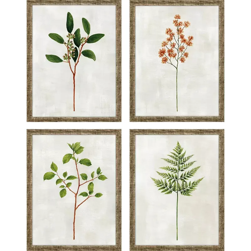 Botanical I S/4