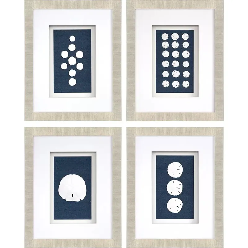 Sand Dollars S/4