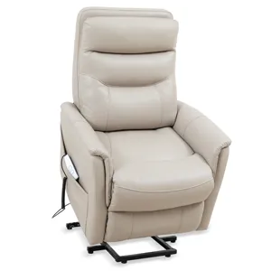 Gemini Softy Ivory Power Lift Recliner with Articulating Headrest Two Pack