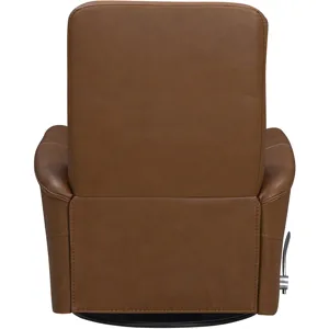 Gemini Cayenne Envy Manual Swivel Glider Recliner Two Pack